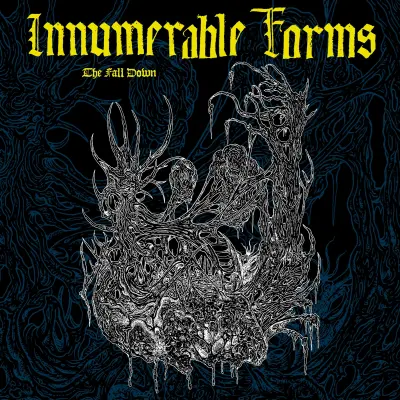 INNUMERABLE FORMS - The Fall Down CS (LUNGS-225)