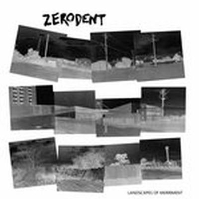 Zerodent - Landscapes of the Merriment LP