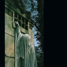 Dead Can Dance: Within The Realm Of A Dying Sun LP