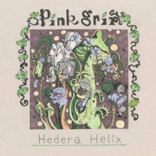PINK GRIP Hedera Helix 7