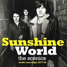 The Scenics ‎– In The Summer (Studio Recordings 1977-1978)