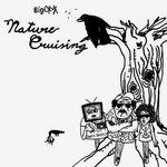 Big Crux - Nature Cruising LP
