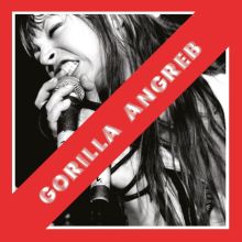 Gorilla Angreb - Discography LP