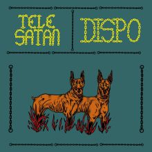 Dispo / Telesatan Split LP