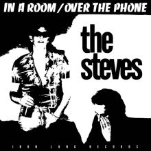 THE STEVES - In A Room 7 (LUNGS-240)