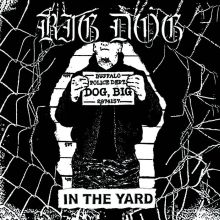 BIG DOG In The Yard 7
