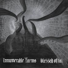 INNUMERABLE FORMS / BLESSED OFFAL SPLIT