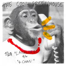 The Cool Greenhouse - Landlords / 4Chan 7