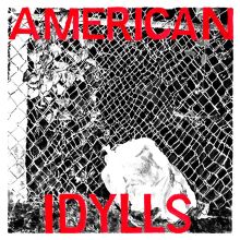 V/A American Idylls 2xLP (NC Punk/HC Compilation)