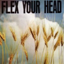 V/A Flex Your Head LP