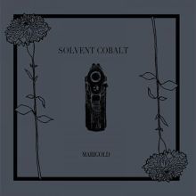 SOLVENT COBALT Marigold 12