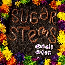 Sugar Stems - Can`t Wait Lp