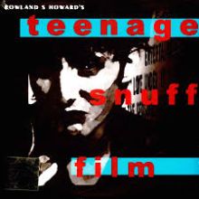 Rowland S. Howard - Teenage Snuff Film (marbled vinyl) 2LP