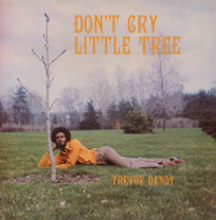 TREVOR DANDY - Dont Cry Little Tree